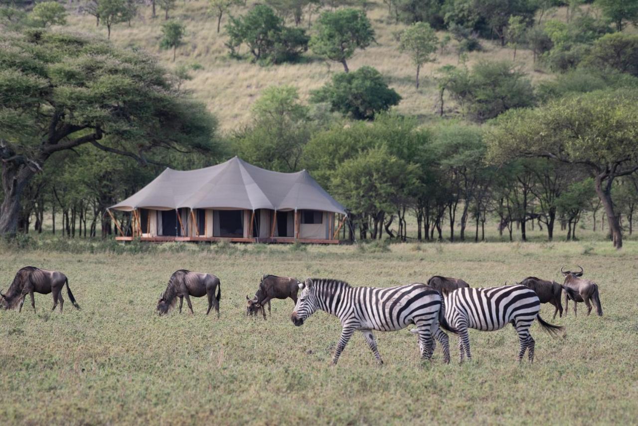 Hotel Cherero Camp Serengeti Exteriér fotografie