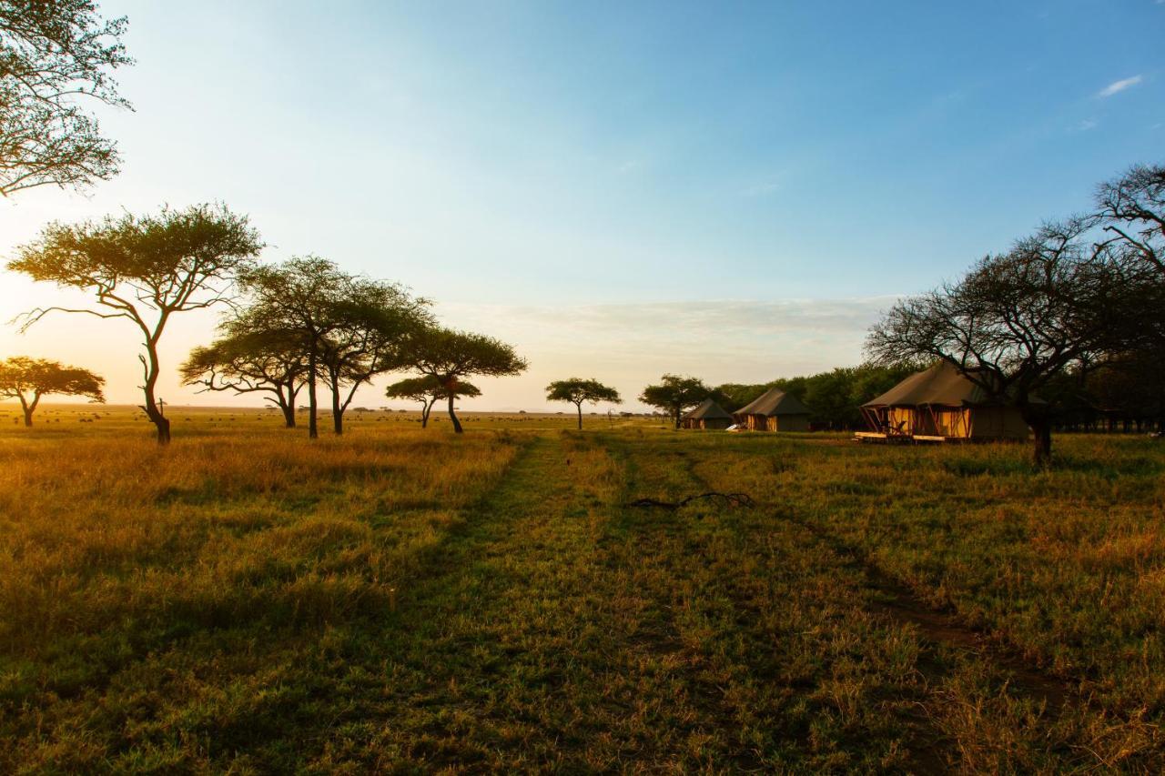 Hotel Cherero Camp Serengeti Exteriér fotografie